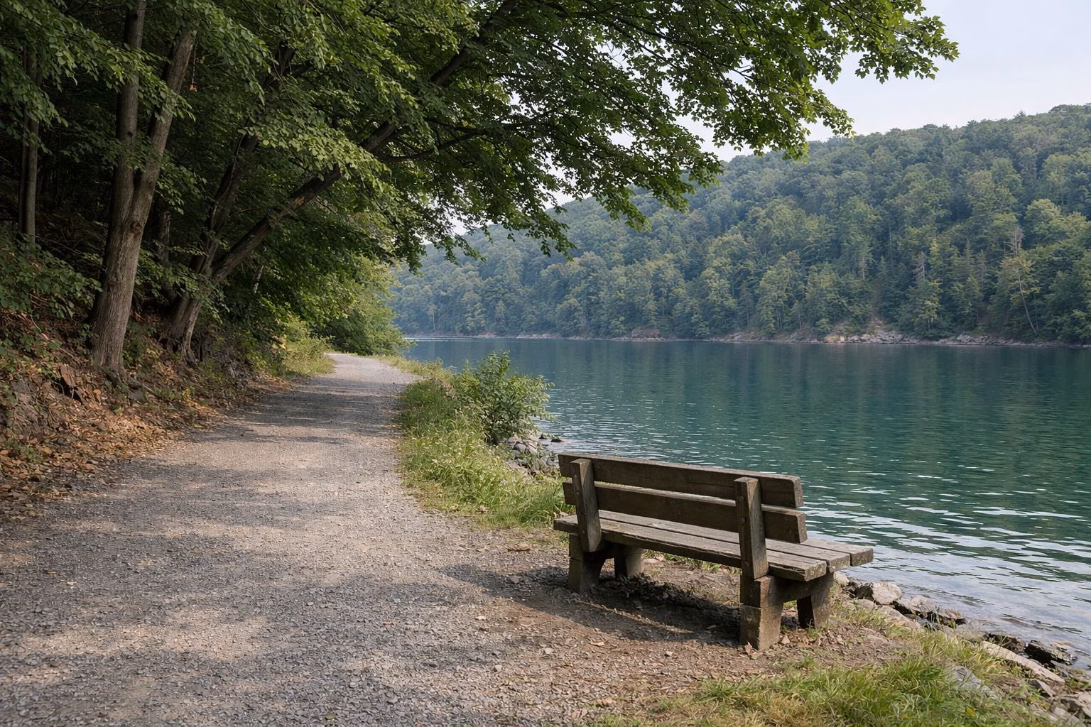 A gravel walking path and bench along a lake shore