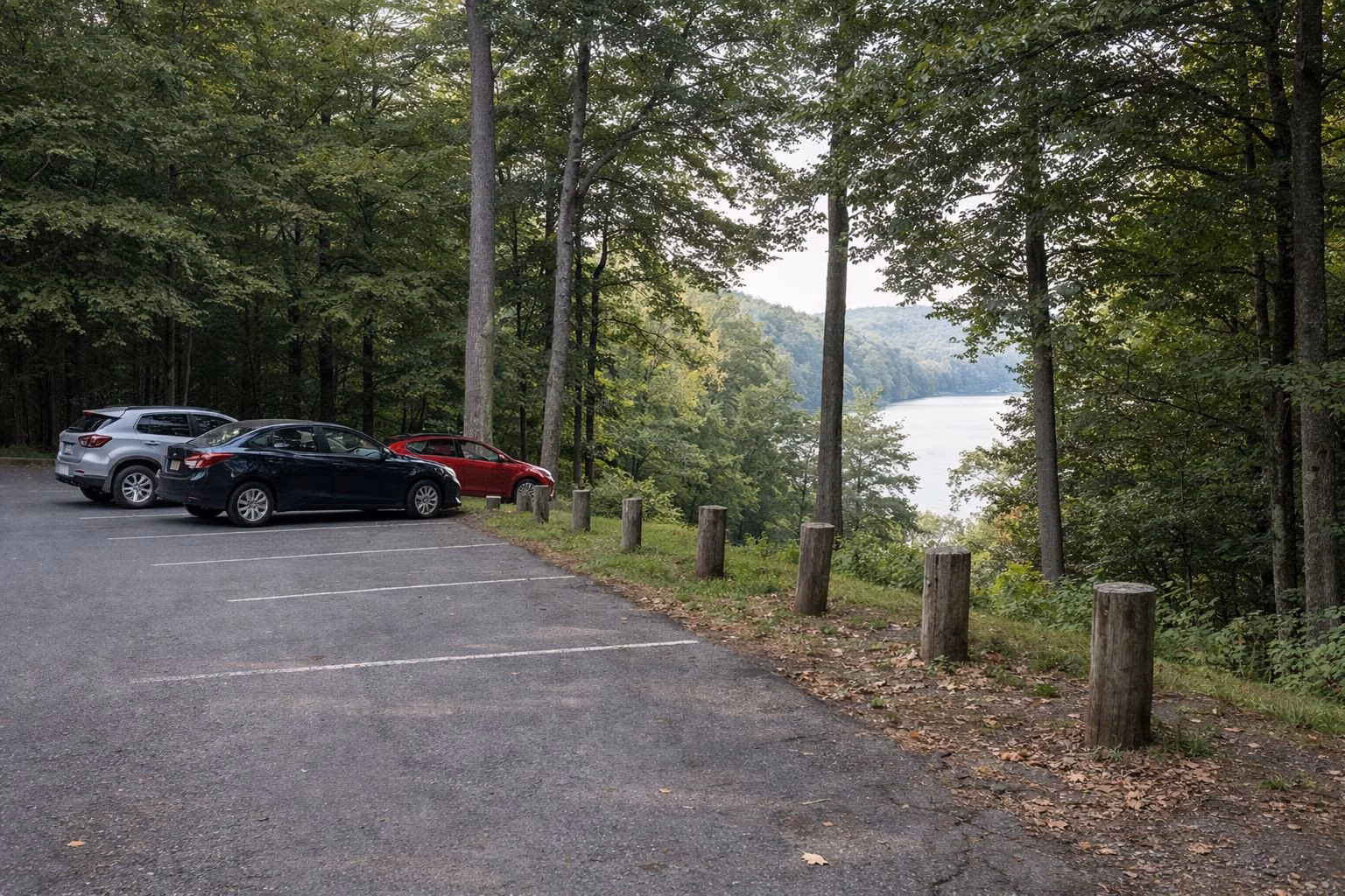 A paved park parking area at the edge of hardwood woods