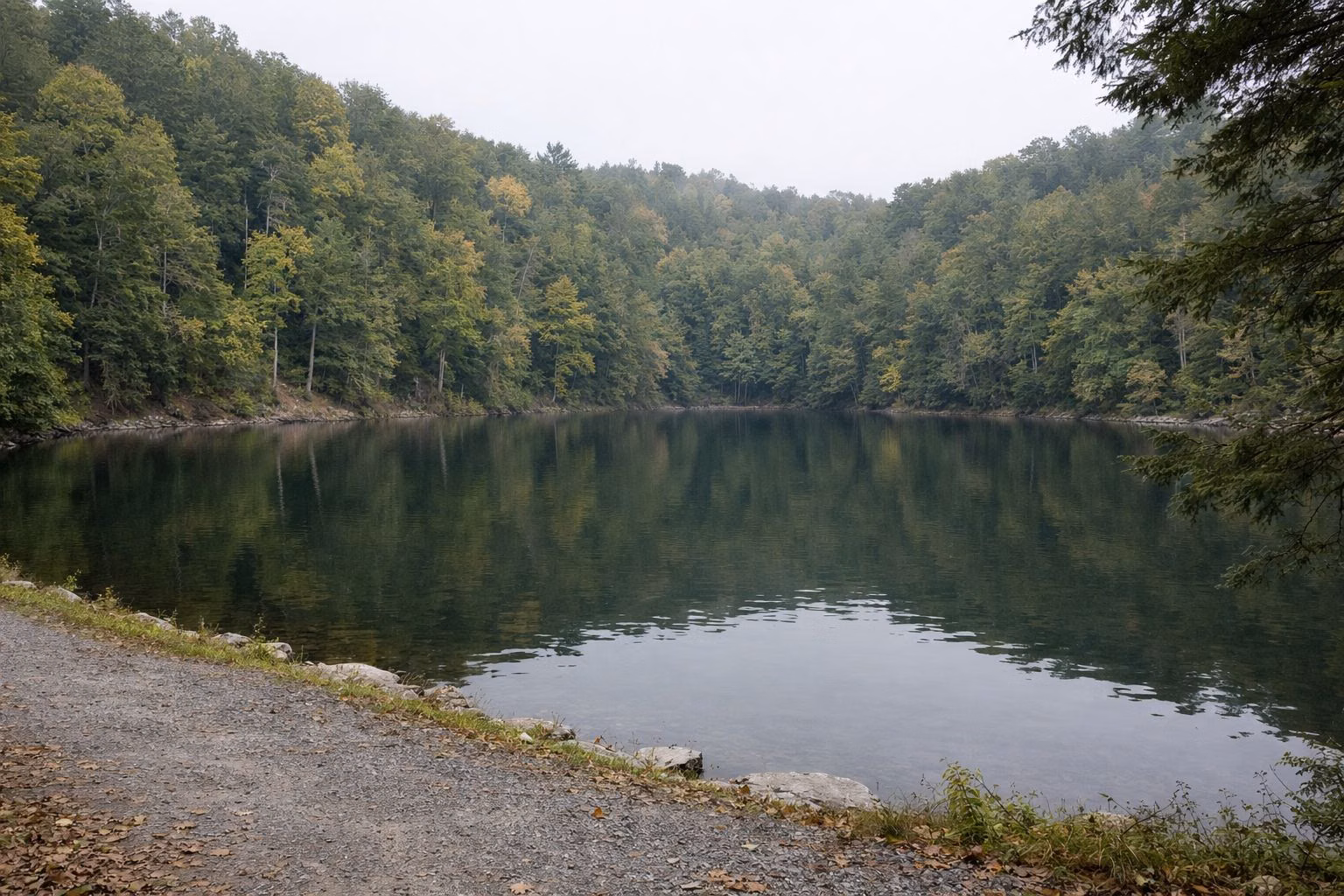 A small lake ringed by tall forest on steep banks