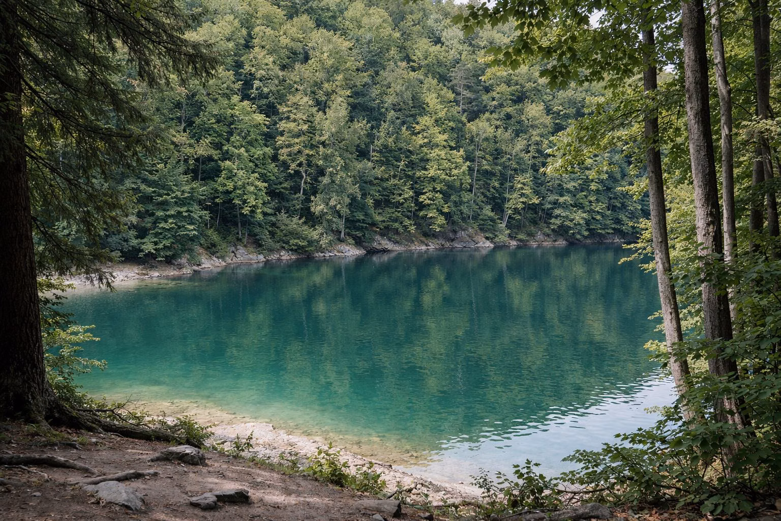 Turquoise-green lake water with pale shallows below steep wooded banks